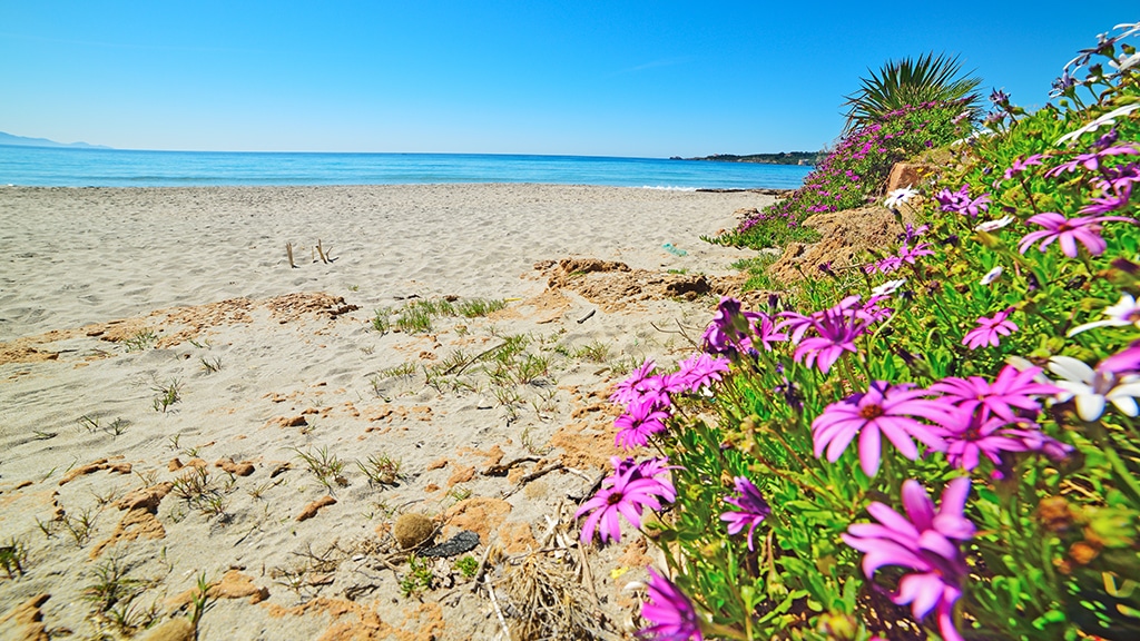 spiaggia riviera del corallo