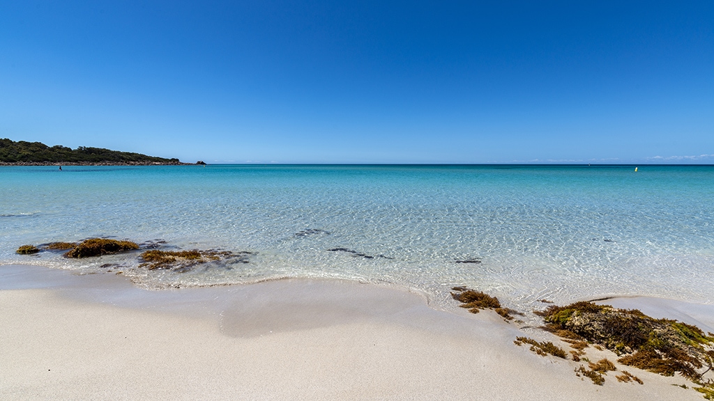 spiagge della barceloneta sarda alghero